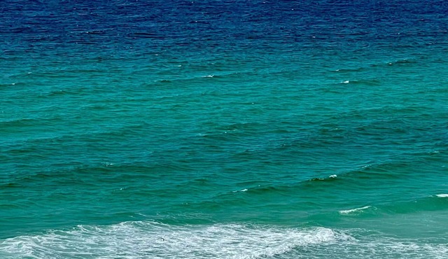 𝔾𝕦𝕝𝕗𝔽𝕣𝕠𝕟𝕥 𝑬𝒎𝒆𝒓𝒂𝒍𝒅 𝑰𝒔𝒍𝒆 9th Floor Stocked & Stellar Reviews!