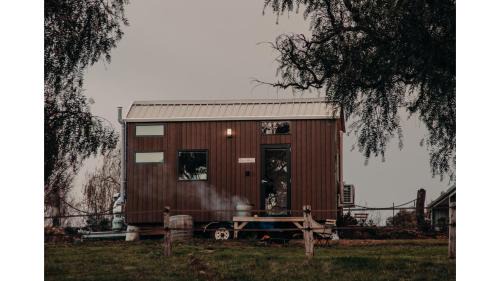 Gums n Roses by Tiny Away