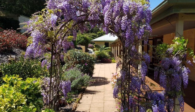 Gumtree House Montville