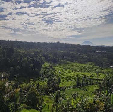 Gunza Bed and Breakfast