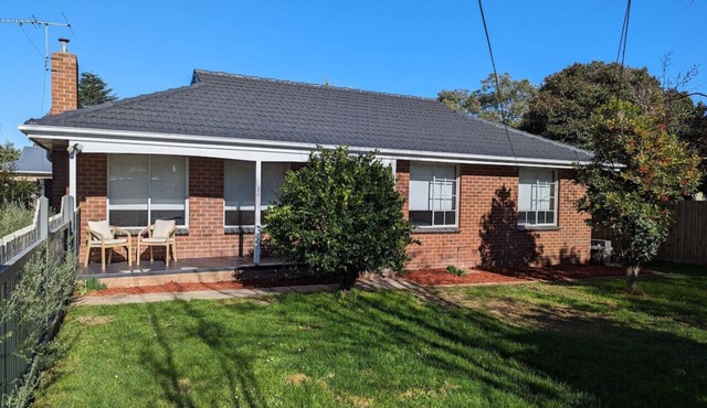 Gwendoline Cottage, Pets, Main St. Station