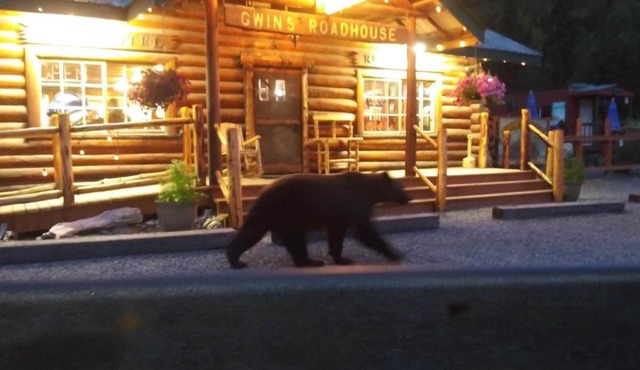 Gwin's Lodge & Roadhouse
