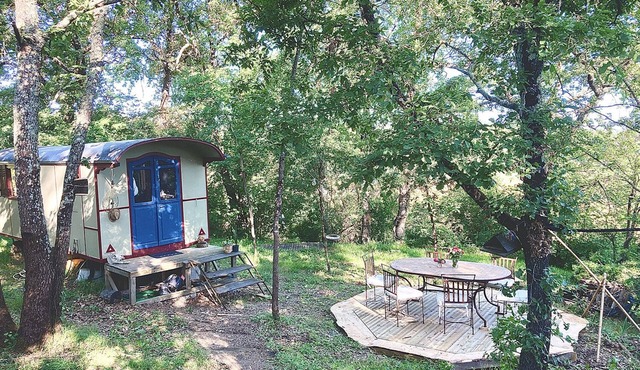 Gypsy Caravan and Wooden Cabin In Nature