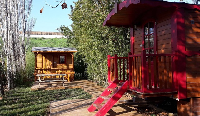 Gypsy caravan for rent in Provence