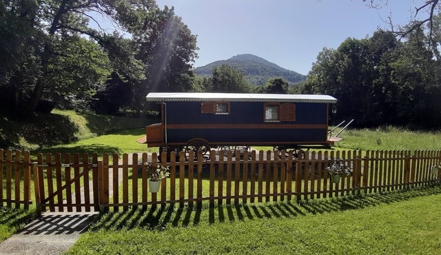 Gypsy Caravan The Great Bear