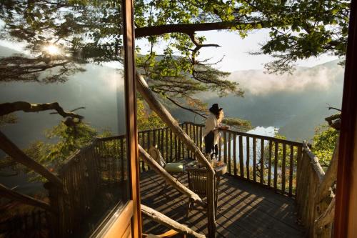 Hêtre sous le Charme