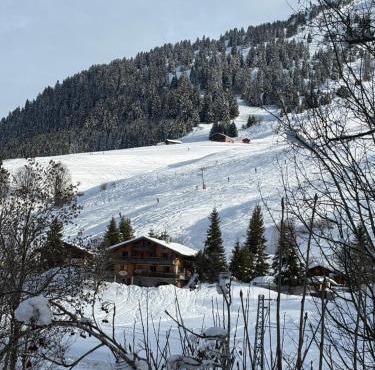 Hôtel Chalet Alpage