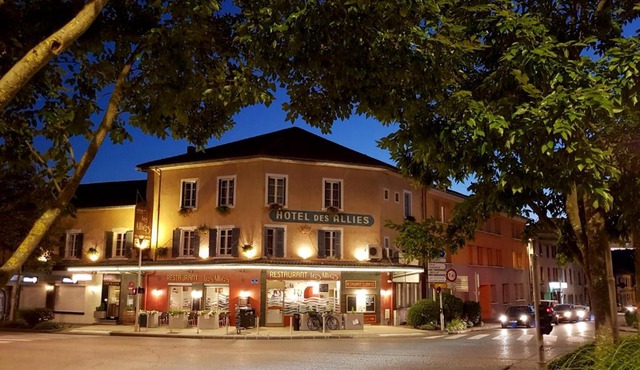 Hôtel Des Alliés