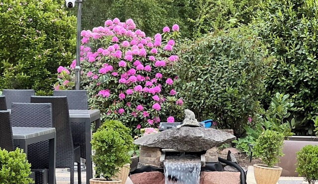 Hôtel l'Orée des Roches