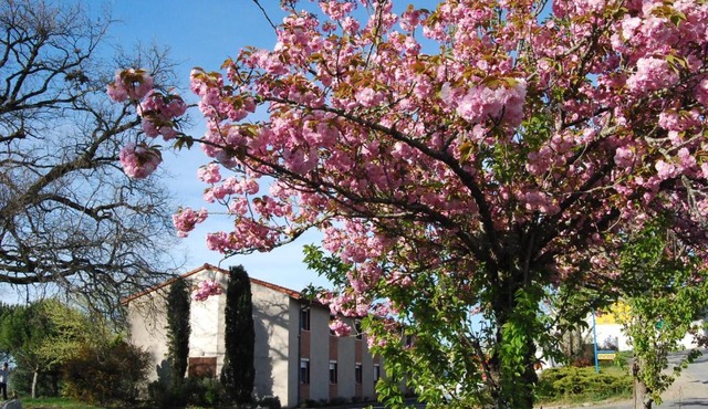 Hôtel Restaurant du Lac