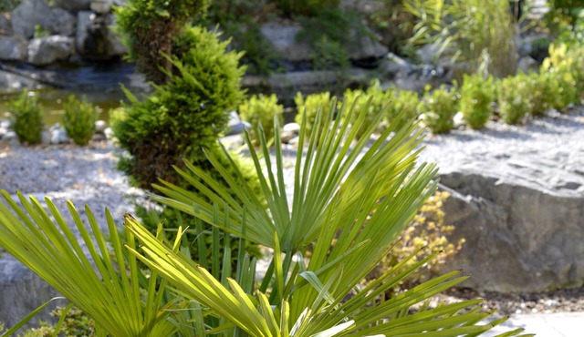 Hôtel Victor Hugo & Spa