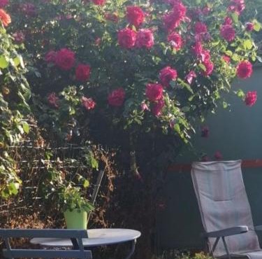 Hébergement de vacances à riez à 10 minutes environ du lac de sainte Croix du Verdon