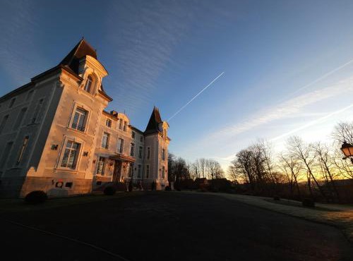 Hôtel Château de la Marlière