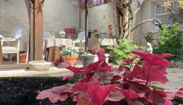 Hôtel de la Sologne