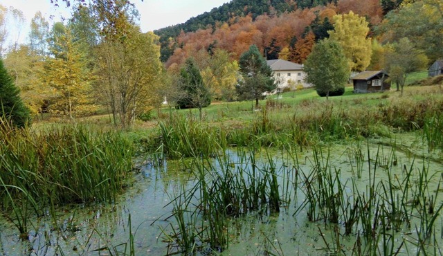 Hôtel Domaine Langmatt