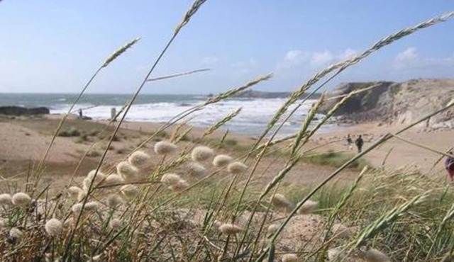 Hôtel du Cheval Blanc