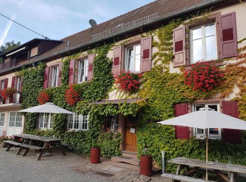 Hôtel du Haut Koenigsbourg- entre vignes et château