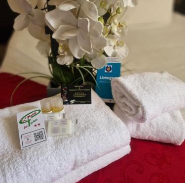 Hôtel du Parc Limoges & Restaurant "Le temps d'une pause"