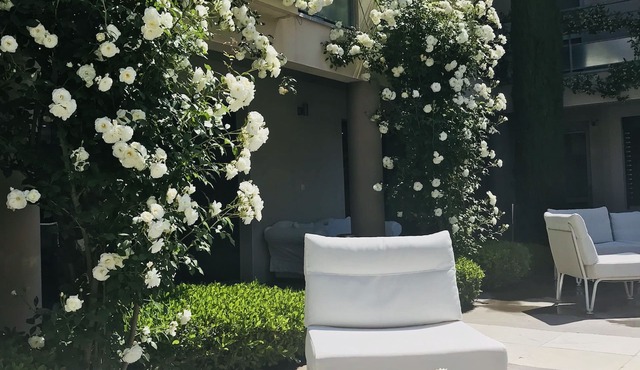 Hôtel Le Patio de Violette