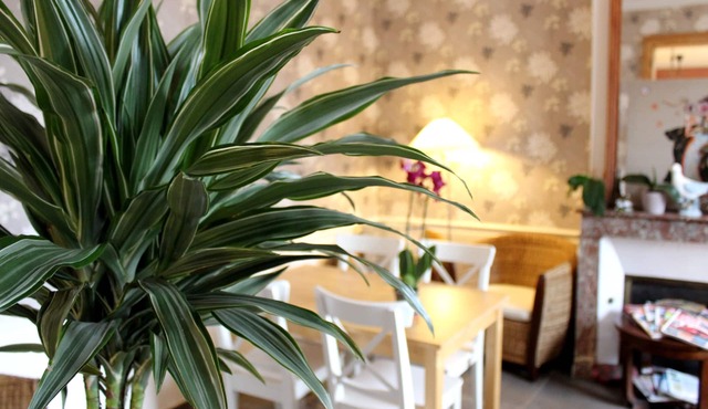 Hôtel les Aubépines