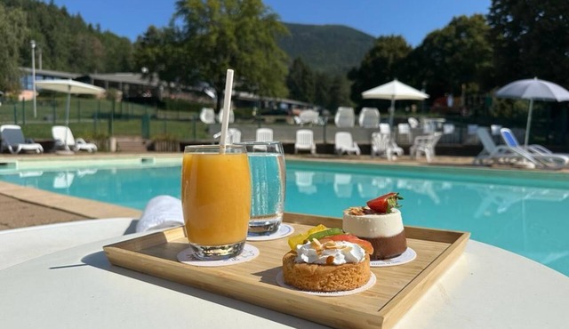 Hôtel Parc & Spa les Cigognes