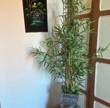 Hôtel & Restaurant ISVARA