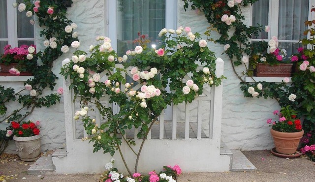 Hôtel Restaurant Maison Blanche