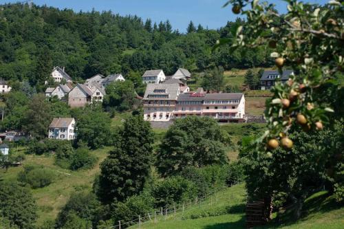 Hôtel Restaurant Roess