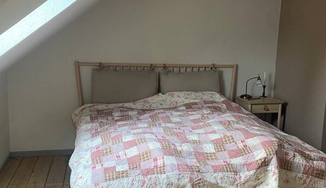 H.C. Andersen went to school opposite us You are right in the center