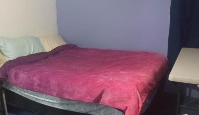 Habitación con perro incluido