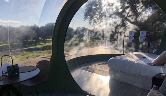 Habitación Burbuja Doble con Vistas al Campo y Piscina