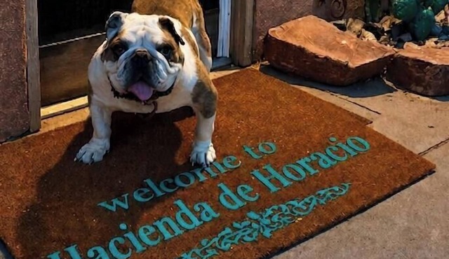 Hacienda de Horacio a 3 bedroom w/2 king beds, private patio and parking. n