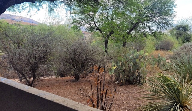 Hacienda in the desert. Tucson flair enhances the charm of this Greens condo