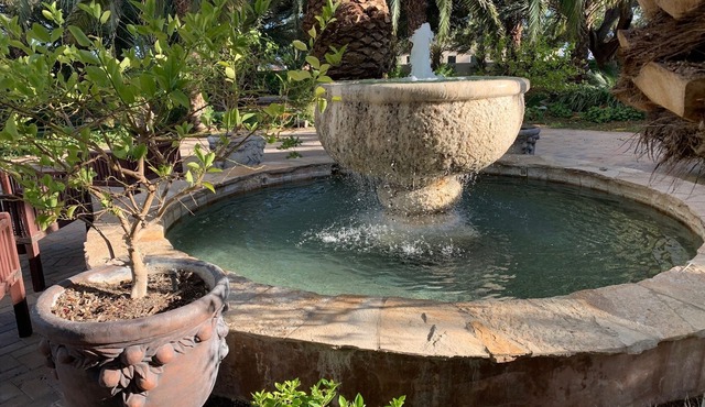 Hacienda Nestled in Private Date Grove close to Palm Springs