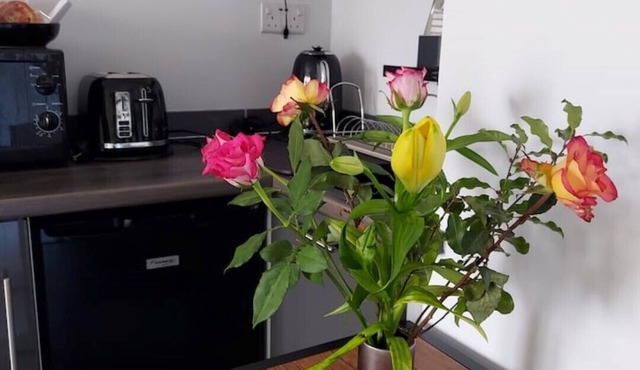 Hadrians Wall Studio Self contained 2 single/SKing