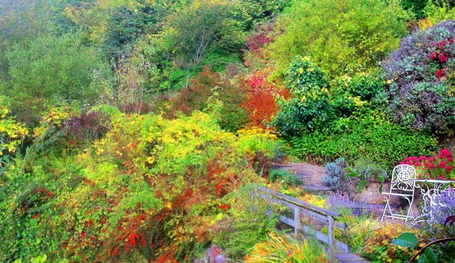 Hafan Deg Bed & Breakfast