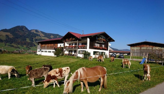 Haflinger Hof in Obermaiselstein