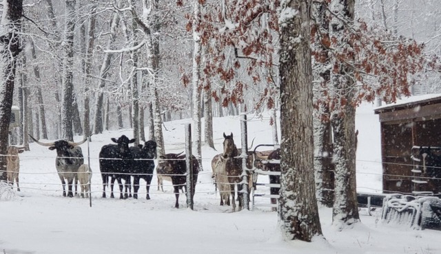Hagood farms and trails