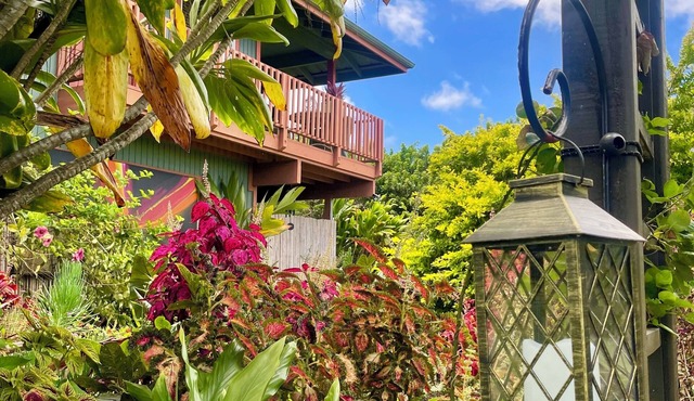 Halawai Haven, a Stylish Peaceful Retreat by Green Sands Beach