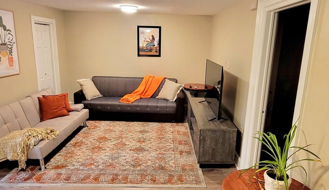 Hali Haven Downtown Albany #ALB