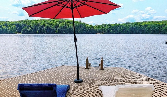 Haliburton Cottage: Family-Friendly, Swimable Lake, Fishing, Firepit, 2 Kayaks!