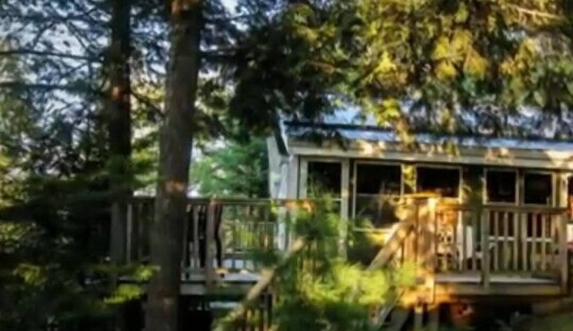 Haliburton Drag Lake Cottage - Ontario, Canada