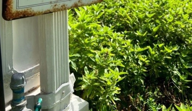 Hall House: A Century of Charm Come relax in a beautiful piece of Texas history