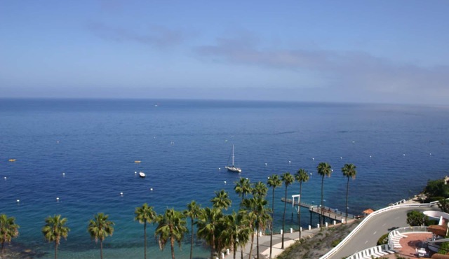 HamCove Full Ocean View GolfCart,WIFI,BBQ,A/C,rare,Smart TV Pool,Gym,OceanClose!