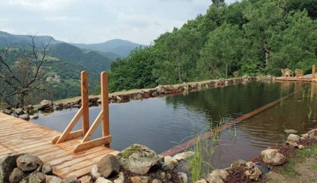 Hameau de Gîte Avec Piscine Naturelle "léo"