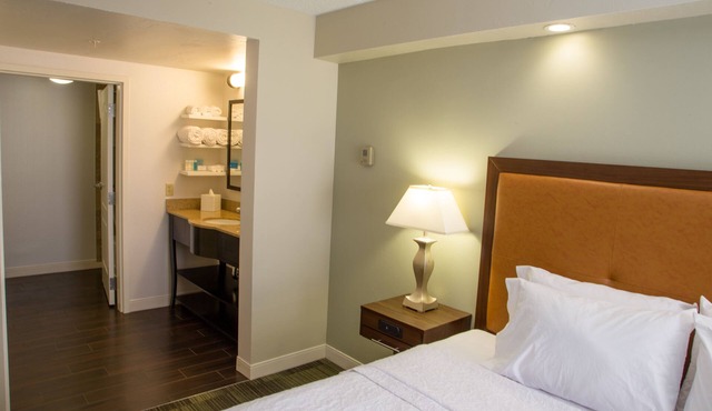 Hampton Inn & Suites Albany-Downtown