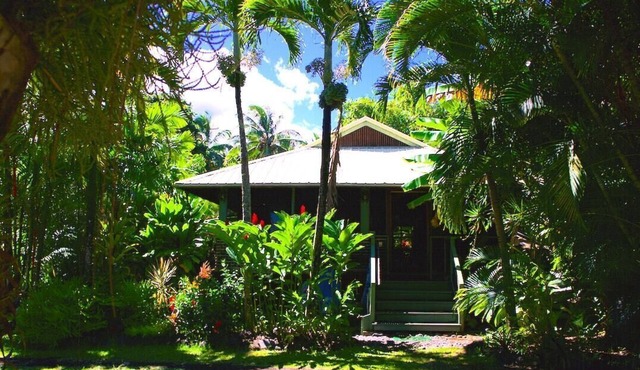 Hana Ocean Palms Bungalows