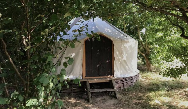 Handcrafted Grain Store Yurt in Somerset woodland; off-grid relaxation, campfire