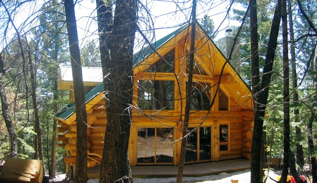 Handcrafted Log Home with hot tub backing into National Forest