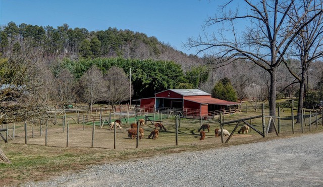 Handicap Accessible Log cabin 20ft off Cobb Creek - Historic Cobb Estate Cir1861